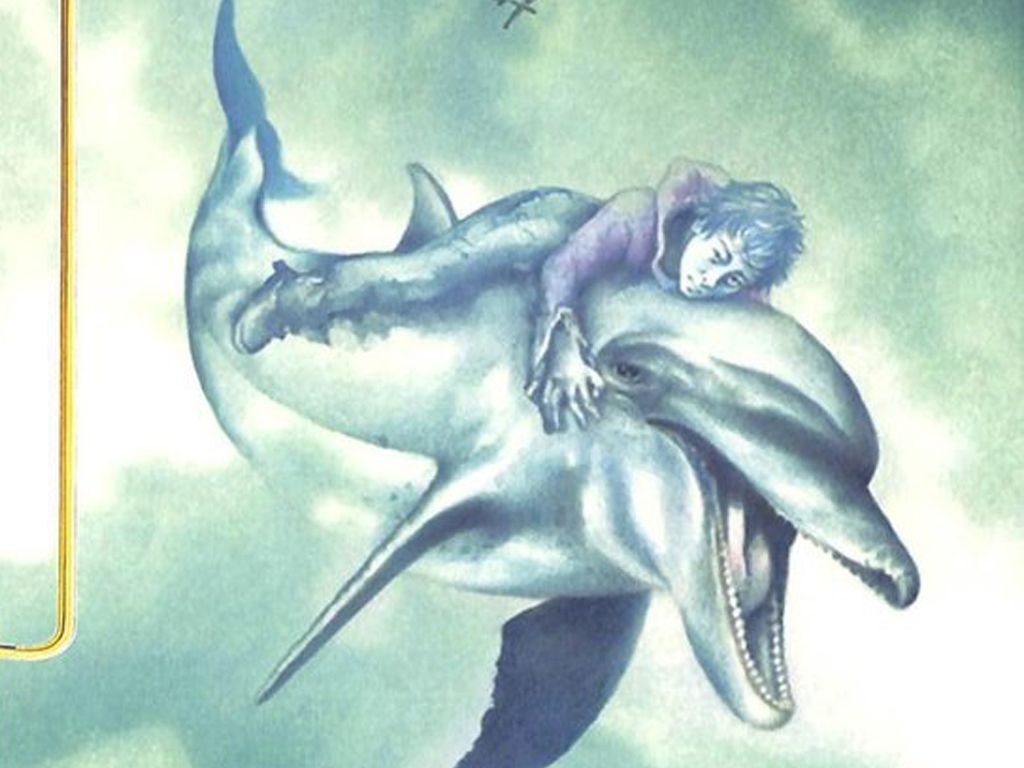 Kinderboek het dolfijnenkind