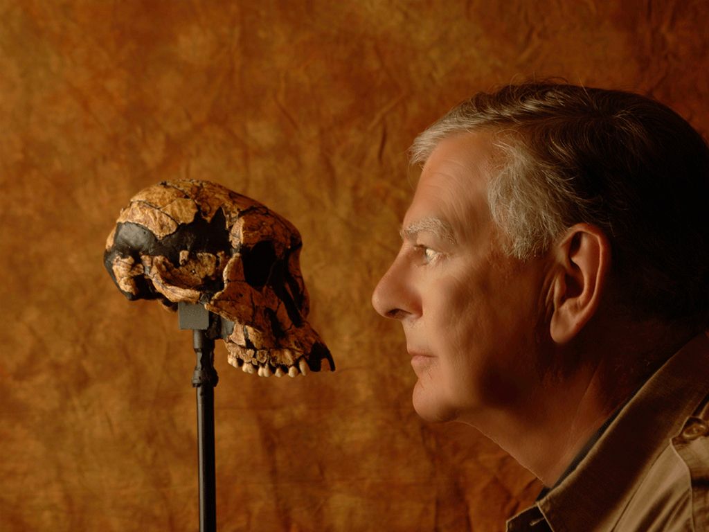 Donald Johanson met Lucy