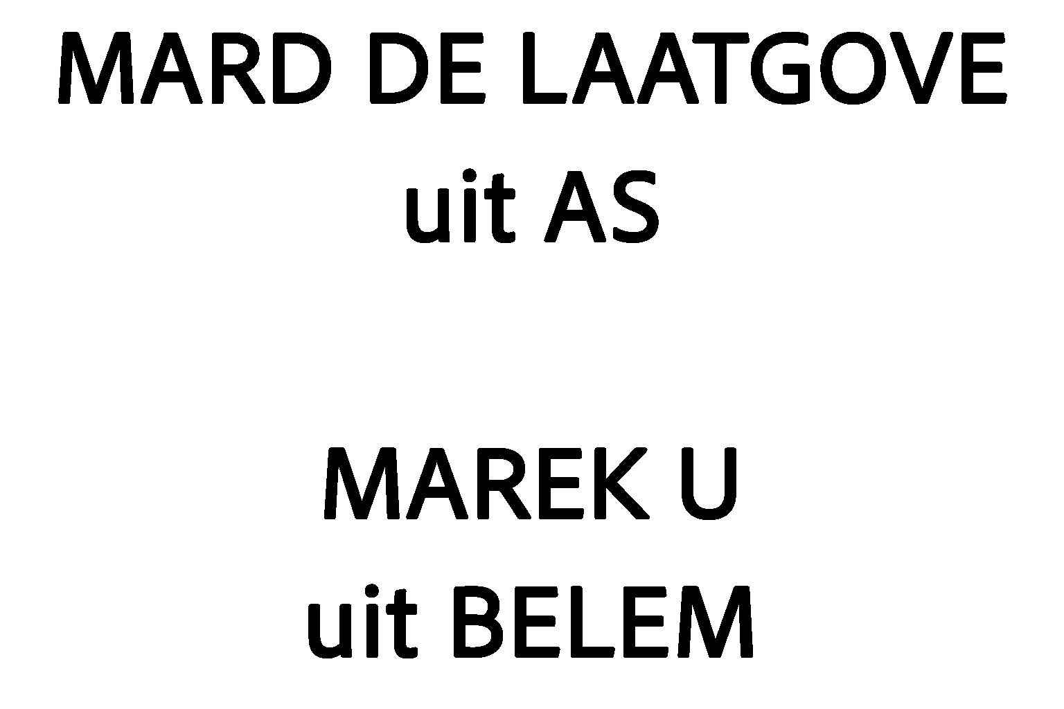 Dubbele anagram beroepen