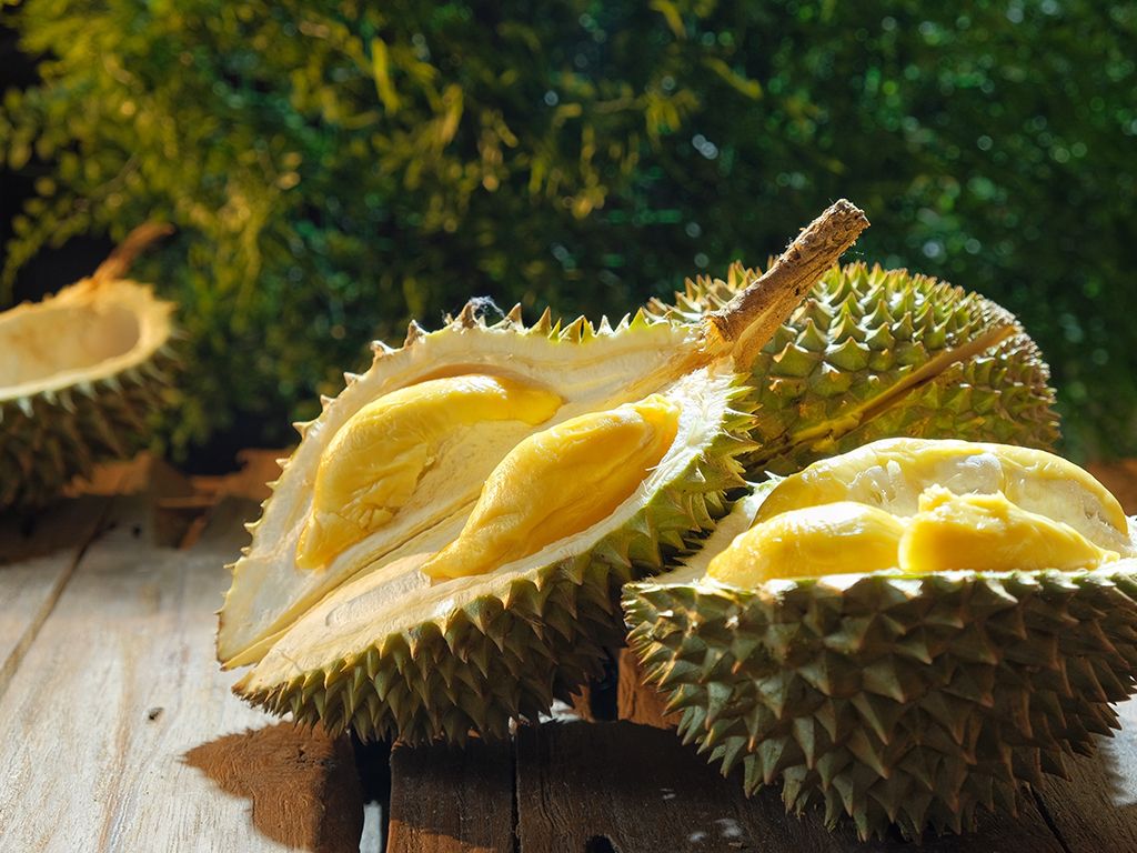 Durian fruit