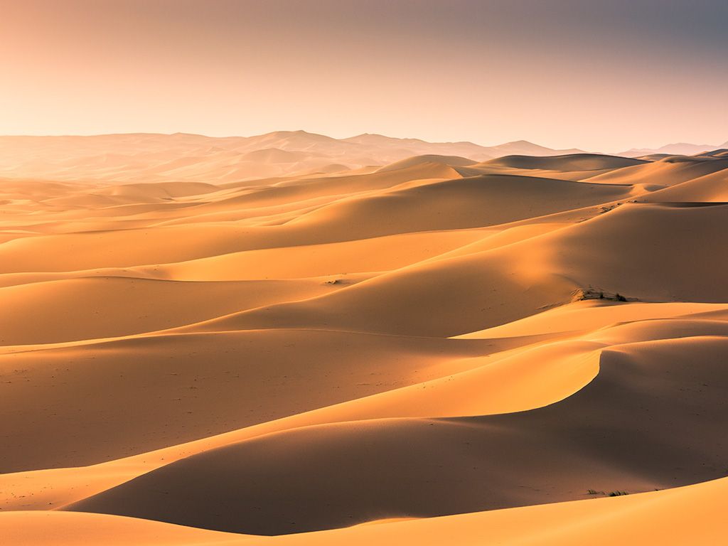 Gobi- woestijn / Baikalmeer- woestijn