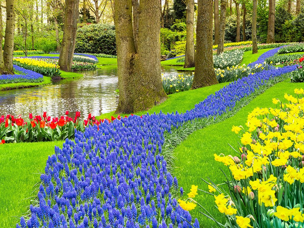 Keukenhof