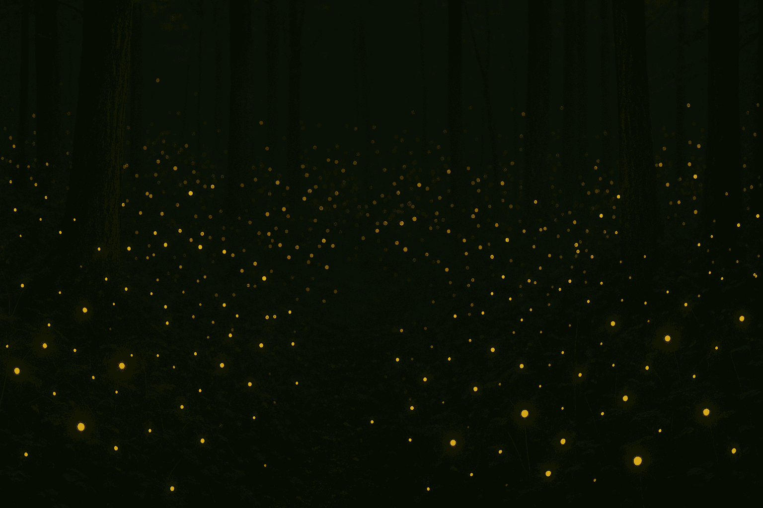 Lichtvliegjes in bos