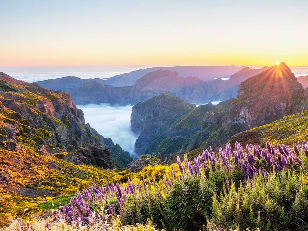 Madeira
