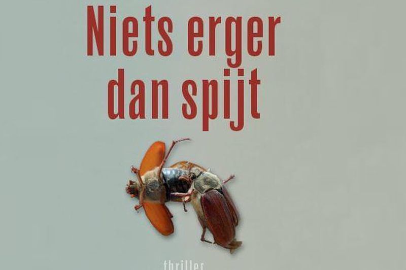 Boek Niets erger dan spijt