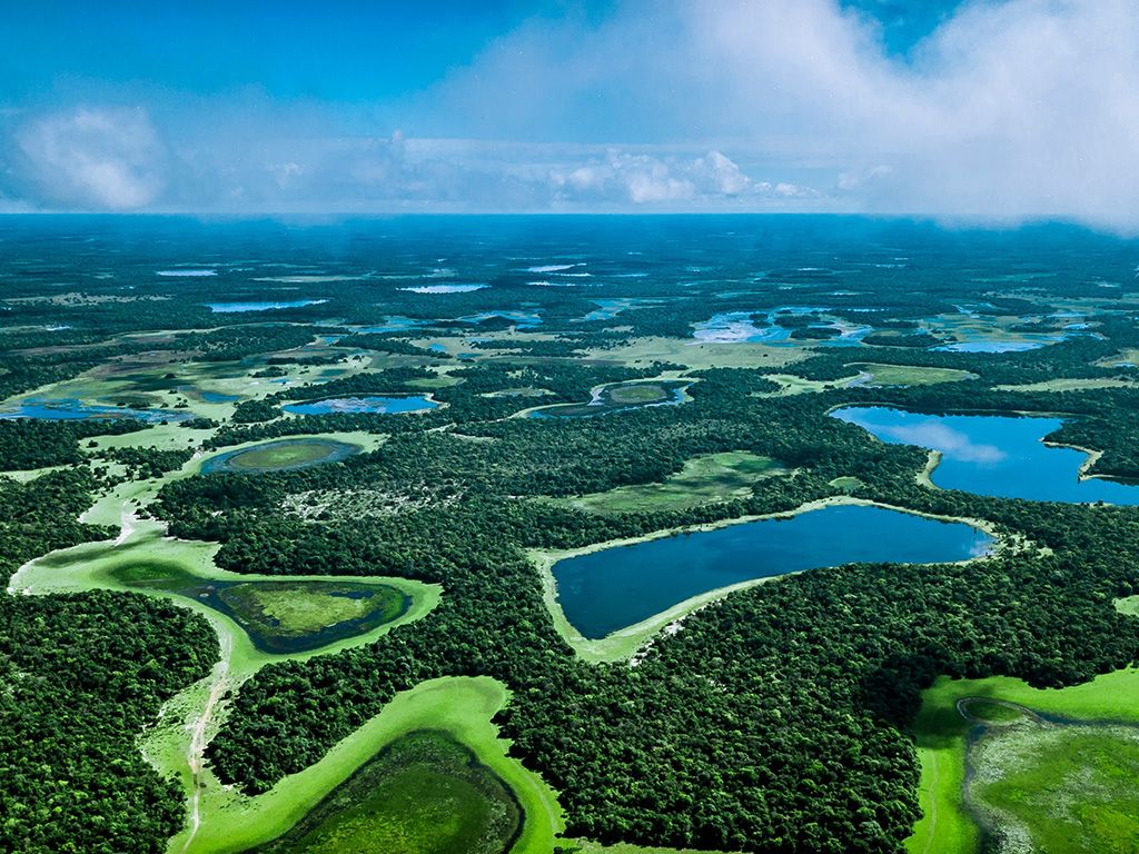 Pantanal