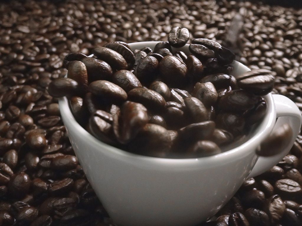 Robusta