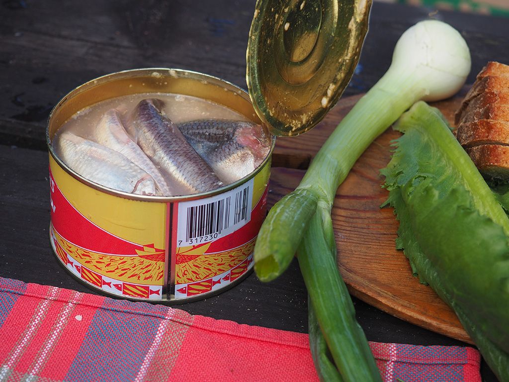 Surströmming