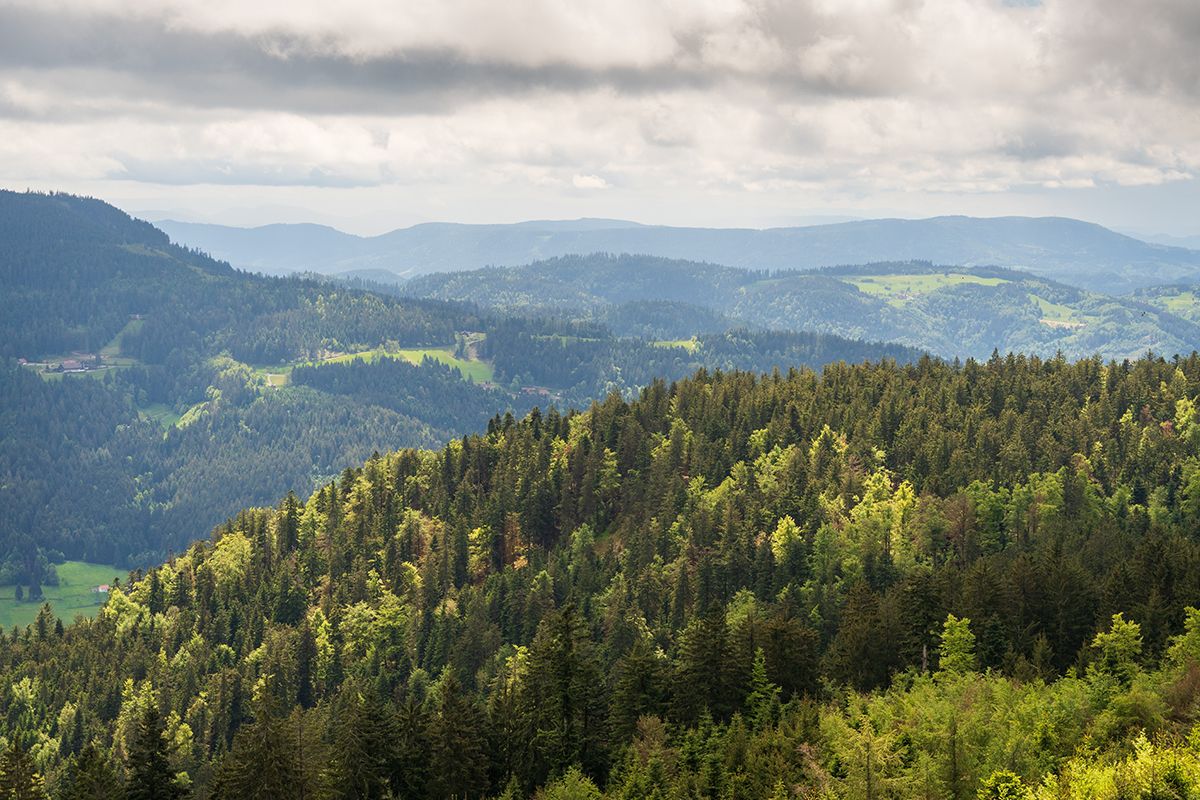 Baden - Württemberg
