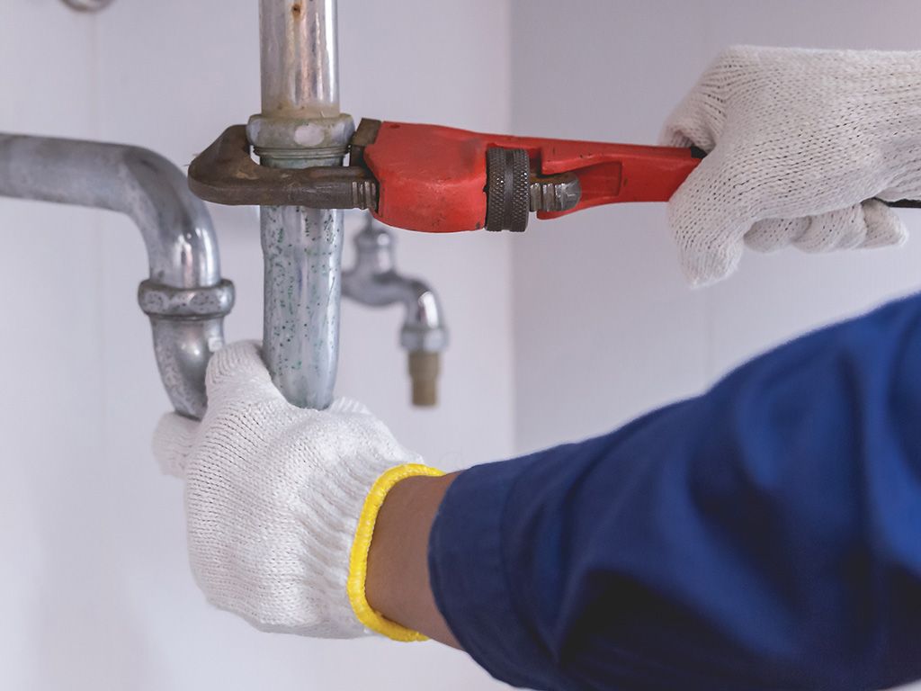 Zweedse tang of Moordenaar